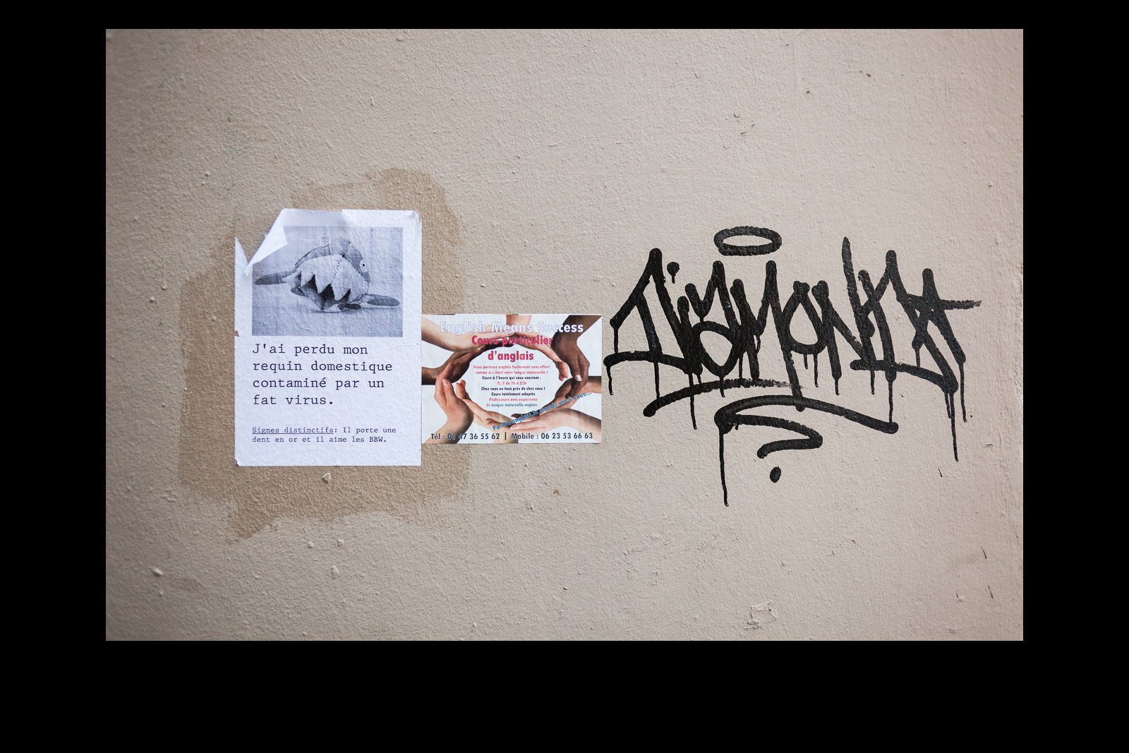Street Art 1 (Paris)