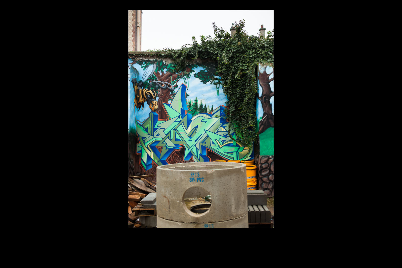 Street Art 5 (Parisian Suburbs)