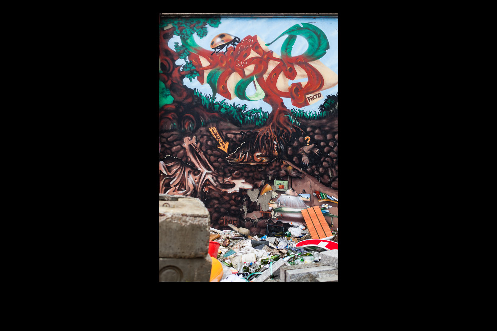 Street Art 5 (Parisian Suburbs)