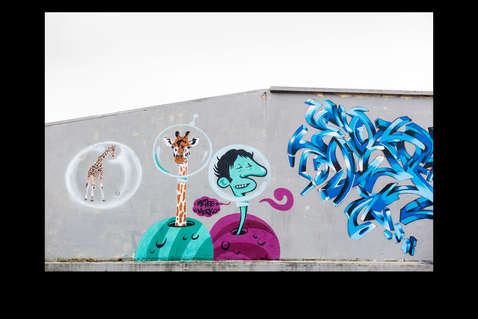 Street Art 5 (Parisian Suburbs)