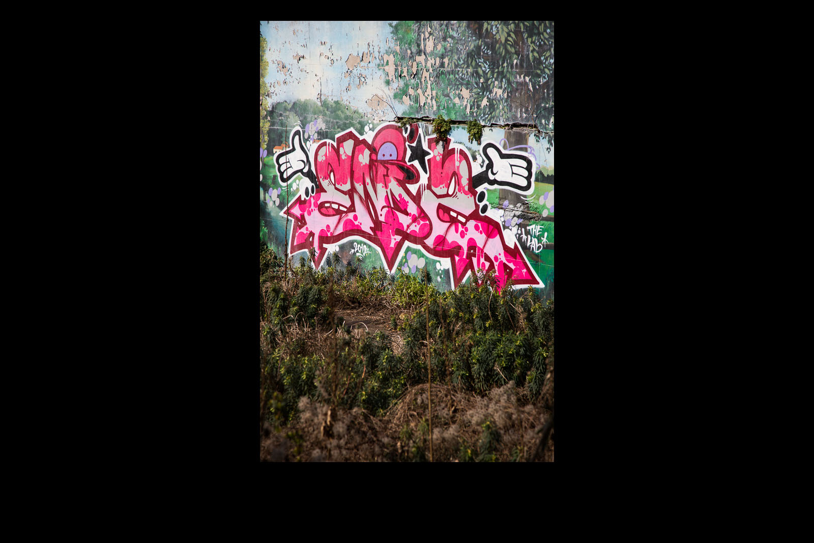 Street Art 5 (Parisian Suburbs)