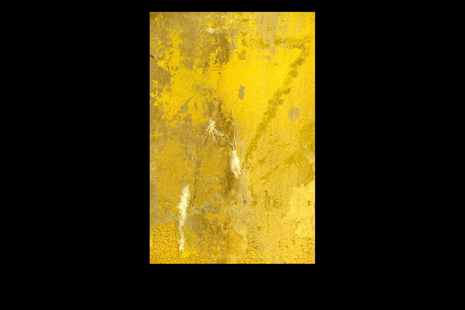 Walls/Abstract